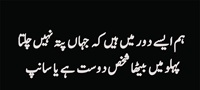 دوست یا سانپ